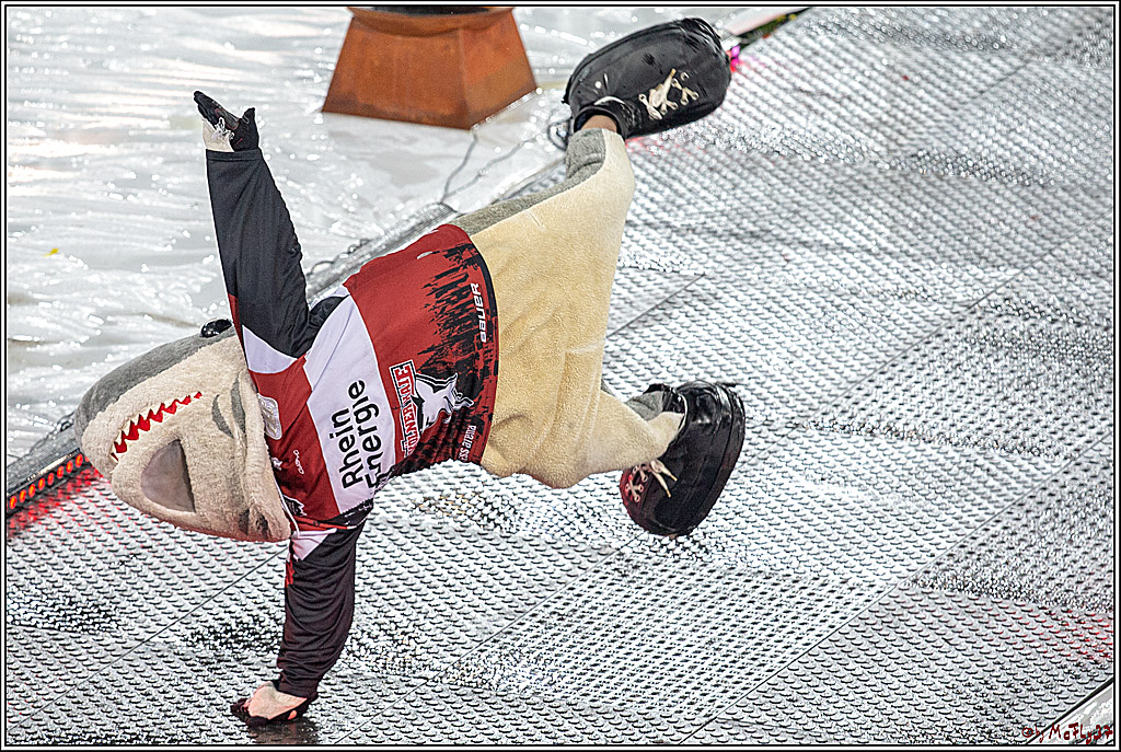 DEL Wintergame; Koelner Haie - Duesseldorfer EG; Koeln, 12.01.2019